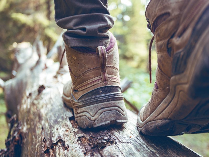 AdobeStock_219030080