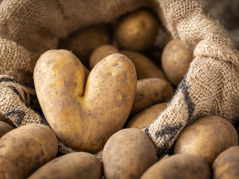 AdobeStock_388952040