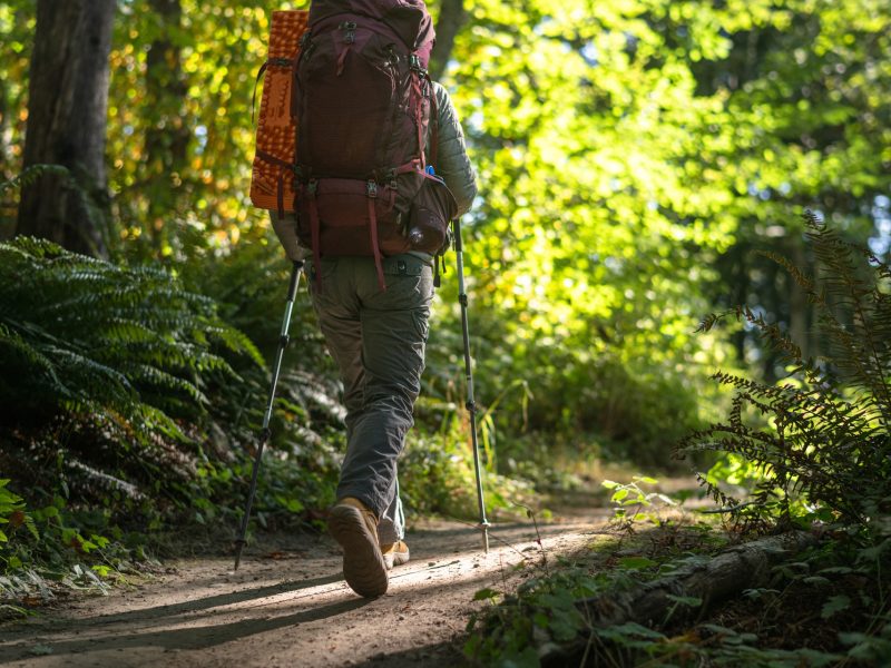 AdobeStock_524581218